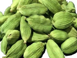 Top Quality Spices Green Cardamom