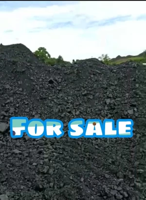 For sale Indonesian Coal