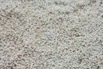 Sesame seeds