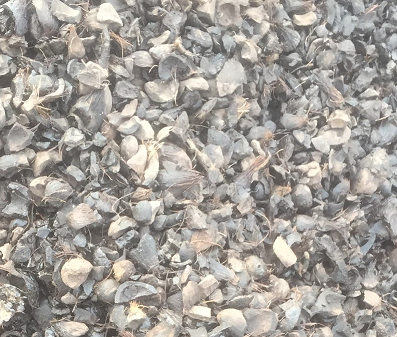 Buy Palm Kernel Shell from PT Baraka Biomass Energy, Indonesia ...