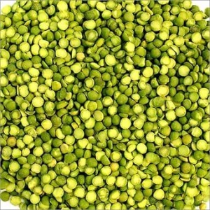 Lentils wholesale high quality green lentils