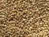 Robusta Coffee beans