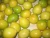 Import Fresh Citrus Fruit from Egypt