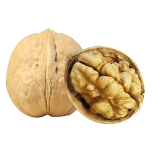 Wholesale Good Quality 100% Natural Walnut - Wholesale Walnut - Dried and Fresh Organic Whole Walnuts