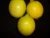 Import Fresh Citrus Fruit from Egypt