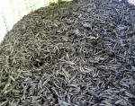 Rice Husk Charcoal