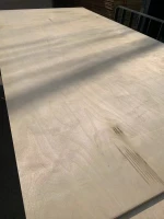 2.8mm-30mm Birch Plywood for packaging, furniture, construction formwork and crafts exhibition board