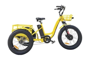 Electric Cargo Trike