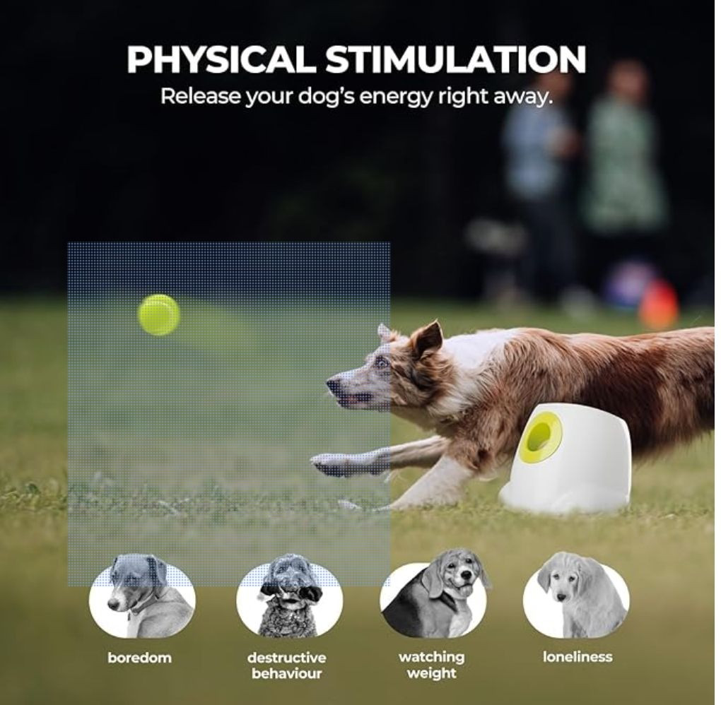 Buy Rechargeable Automatic Dog Ball Launcher, Interactive Fetch Toy For ...