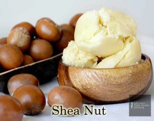 SHEA BUTTER