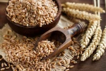 Wheat Supplier