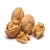 Import Wholesale Good Quality 100% Natural Walnut - Wholesale Walnut - Dried and Fresh Organic Whole Walnuts from USA
