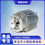 Motors for fuel dispensers