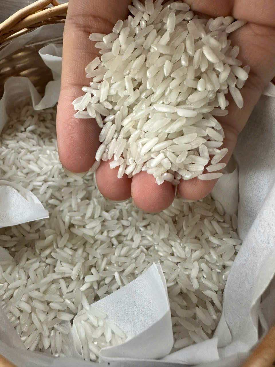Buy Vietnam White Rice 504 from Foodmax Vietnam, Vietnam | Tradewheel.com