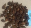 Buy Geena and Dried  Cardamom Seeds