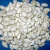 Import quality shine skin/snow white pumpkin seeds for sale from South Africa