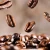 Import Premium Arabica Coffee Bean Offered Fresh With Rich Aroma And High Quality 100% Natural For Bulk Buyers Worldwide from United Kingdom