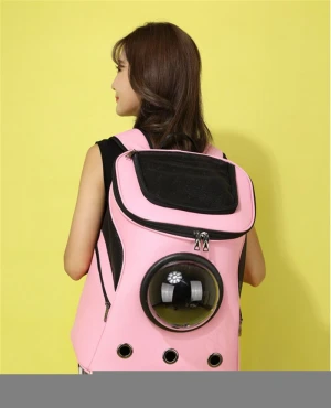 Portable Transparent Cat Bag Double Shoulder Pet Space Bag Breathable Pet Backpack Pet Bag
