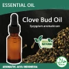 Clove Bud Oil 100% Natural by Aromatik Jaya Indonesia