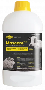 Maxcare90s Super Effective Liquid Supplement Vitamins Animal Feeding