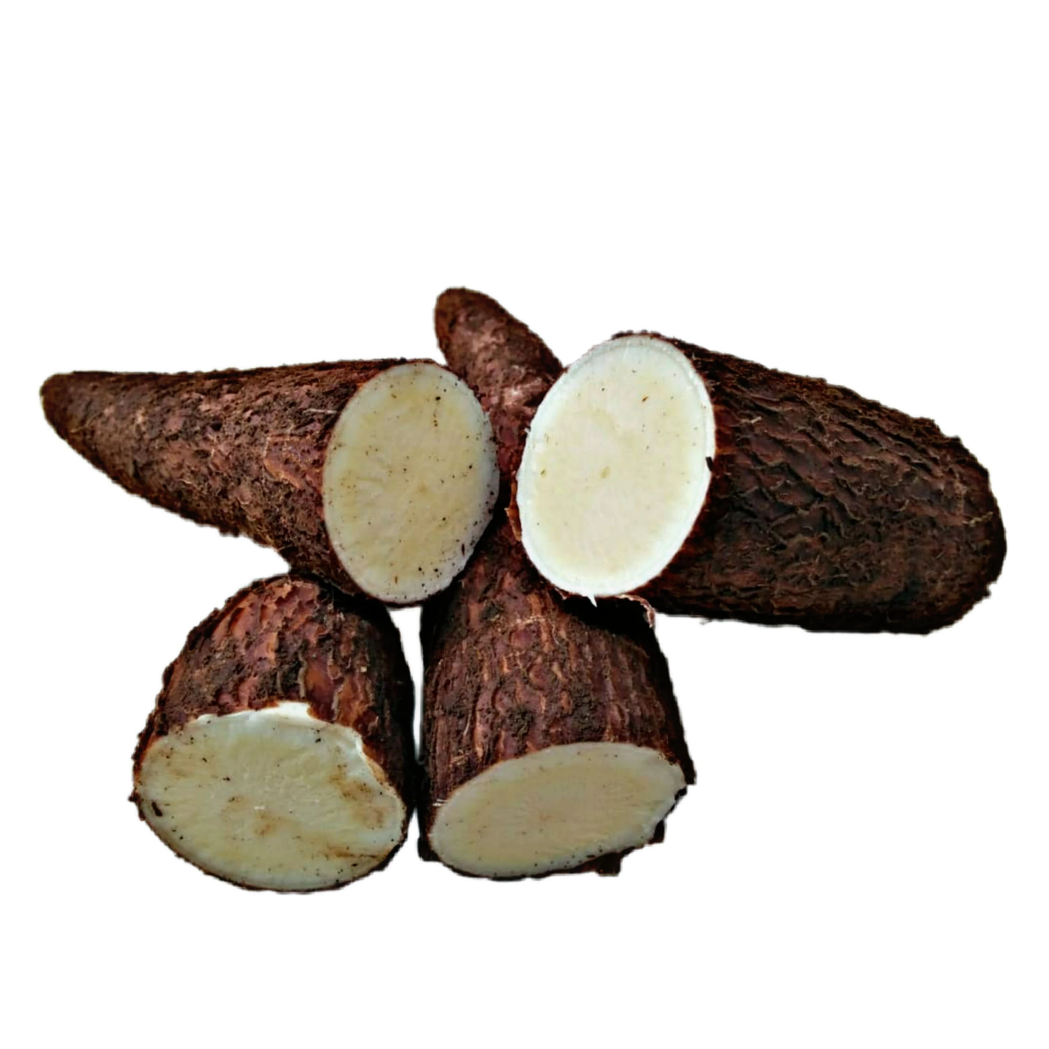 Fresh Cassava, Butter Cassava, Margarine Cassava