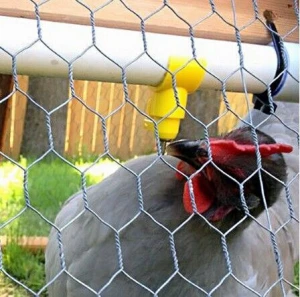 lowest price poultry wire 1/2 chicken wire mesh/hexagonal chicken wire netting
