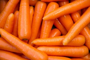 Fresh Carrots