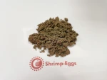 DRIED ARTEMIA CYST/BRINE SHRIMP EGG