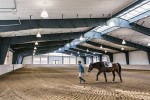 China supply hot selling High quality steel structure Indoor Horse Riding Hall / Outdoor Horse Riding Arena