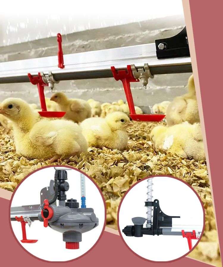 Buy Automatic Poultry Water Pressure Regulator For Chicken Farm from Long Mu Animal Husbandry