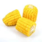 Export Quality Yellow Corn Maize High Nutrition Yellow Corn Maize Offered In Large Quantities For Global Buyers