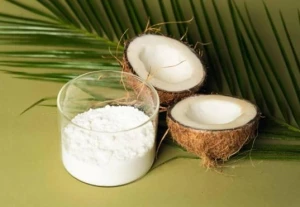 100% Pure Natural Coconut Milk Powder Cocos Nucifera. ISO HALAL Manufacturer