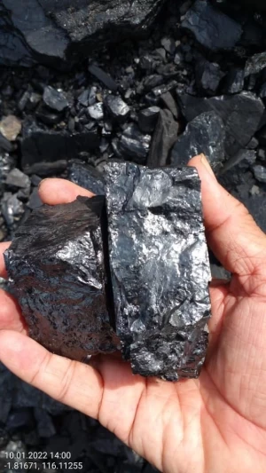 Coal in wholesale price