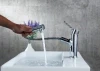 Pull-out Basin faucet