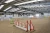 Import China supply hot selling High quality steel structure Indoor Horse Riding Hall / Outdoor Horse Riding Arena from China