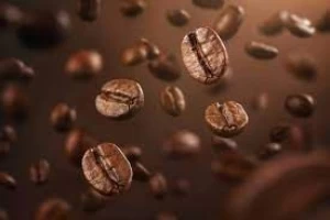 Koffea Arabica Coffee Beans Roasted