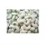 Import Cashew Nuts W180, W240, W320, W450, Cashew Nuts from South Africa