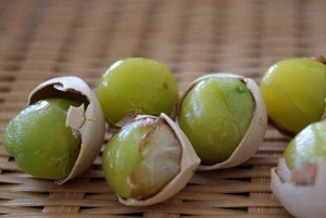 100% Natural Ginkgo Nuts for Export