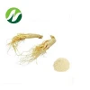100% Natural Plant Extract Ginseng Extract