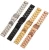 Import 18mm 20mm Stainless Steel Watch Strap 22mm 24mm Metal Watch Band with Butterfly Buckle from China