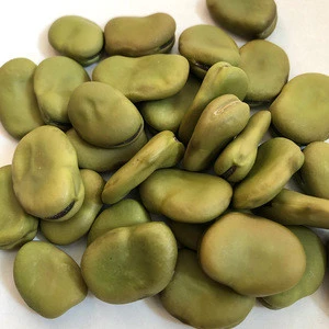 2018 Crop Dried Broad Beans AD Drying Process Fava Beans China Origin