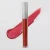 Import 2019 New makeup Private label makeup moisture metallic glitter lip gloss from China