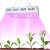 Import 2020 Best High Quality SMD Cob Full Spectrum Led Board Grow Light for Indoor Plants from China