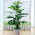 Import 2020 fzzw003 Factory wholesale simulation rush bonsai bulrush mini reed artificial succulent plants with pot from China