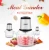 Import 2020 New Design Electric Mini Meat Mincer HN-JR310 from China