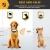 Import 2020 New PET856 Waterproof Anti Barking Device Dog Training Collar with Shock/ Vibration/ Sound from China