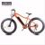 Import 2020 Newest Motorlife Chinese-made electric bicycle, factory direct 48v 1000w hub wheel fat tire electric bike from China