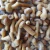 Import 2020 popular IQF Frozen pholiota nameko mushrooms from China