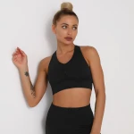 2021 Summer Moisture Wicking Women Seamless Yoga Bra, Womens Sport Bra Top