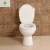 Import 220mm S-trap Two-piece Dual FLush Toilet Siphon Flushing Sanitary Ware Best Toilet for Home with 2 Buttons from China